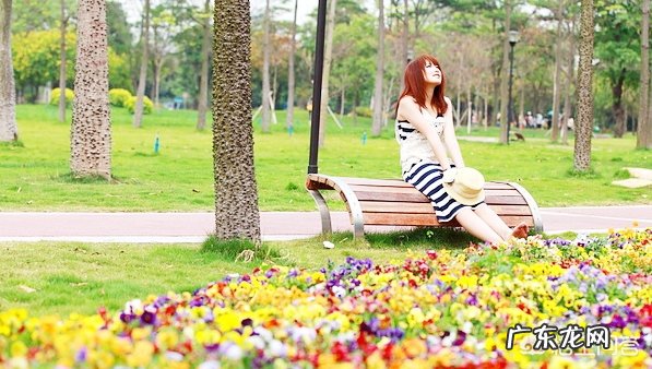 有哪些和夏天相关的音乐,曾让你单曲循环一整天?