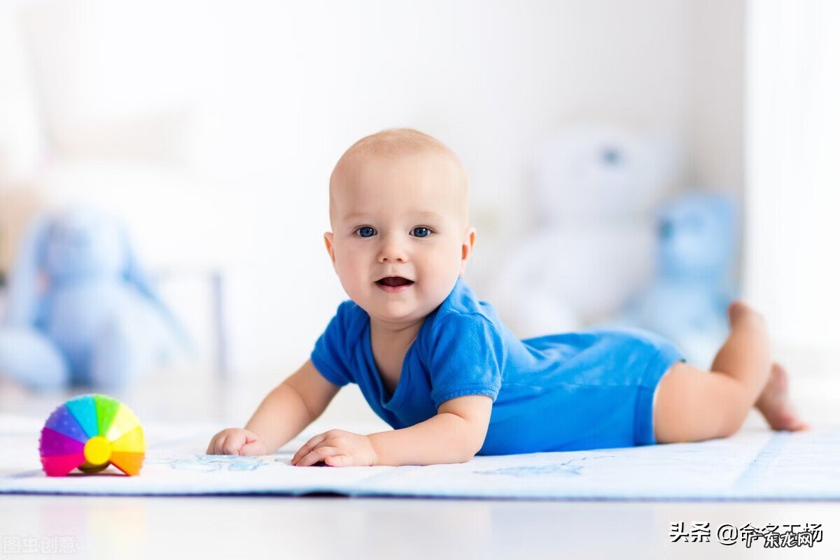 鹏程万里近义词 鹏程万里的寓意