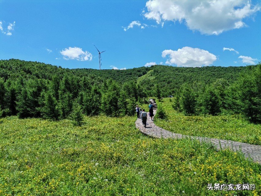 张北天路和京北第一天路,哪一个比较好呢