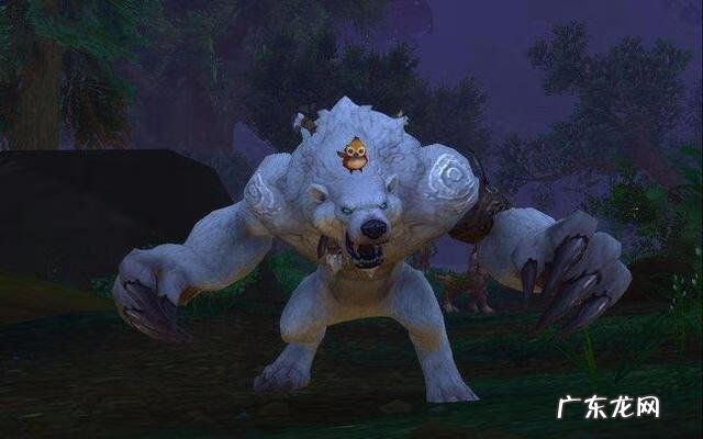 魔兽世界稀有熊 魔兽世界上面的熊