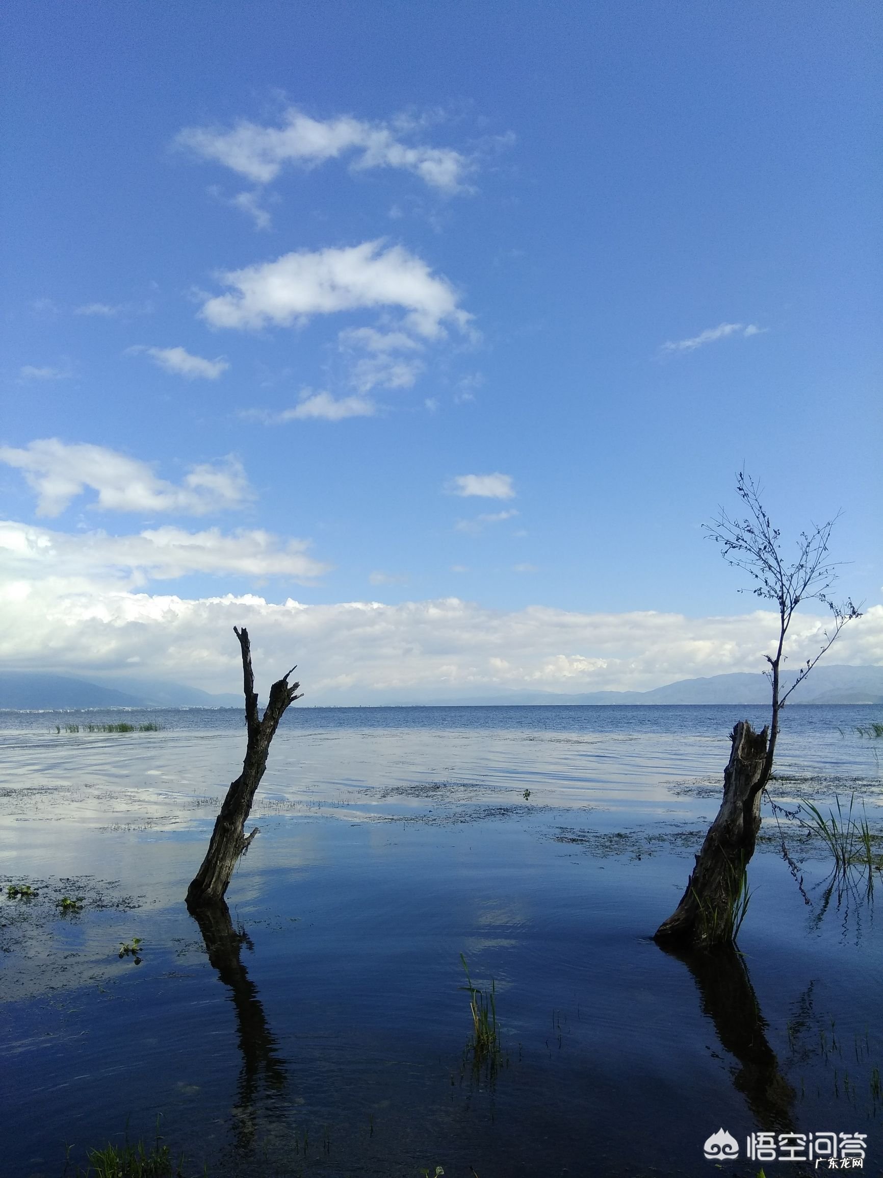怎样可以练好唱歌的颤音?