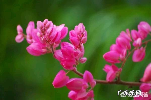 怎样避免性格上的缺点?