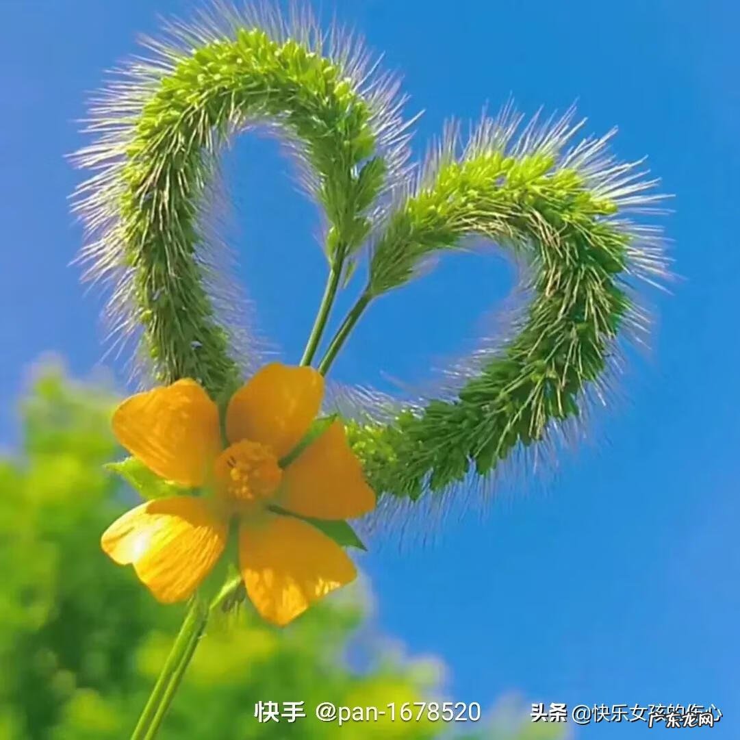 心态就是你的风水 你最好的状态就是你最好的风水