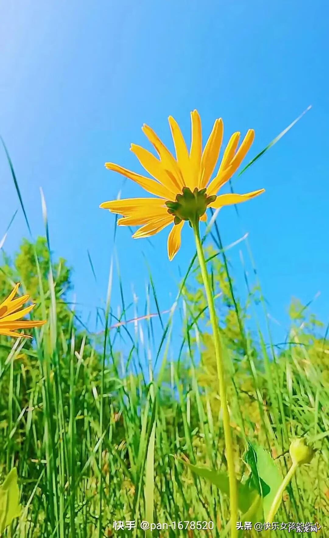 心态就是你的风水 你最好的状态就是你最好的风水