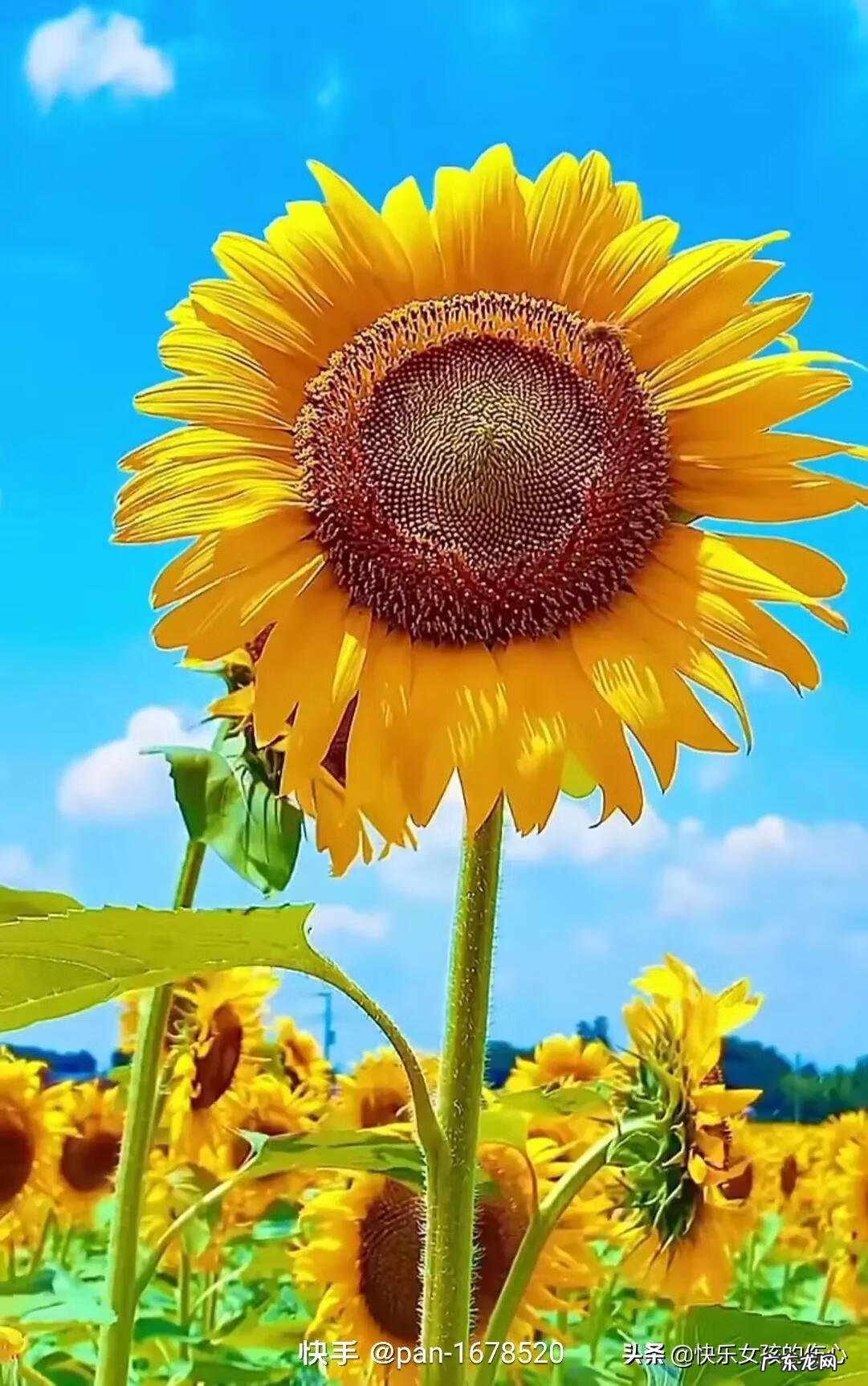 心态就是你的风水 你最好的状态就是你最好的风水