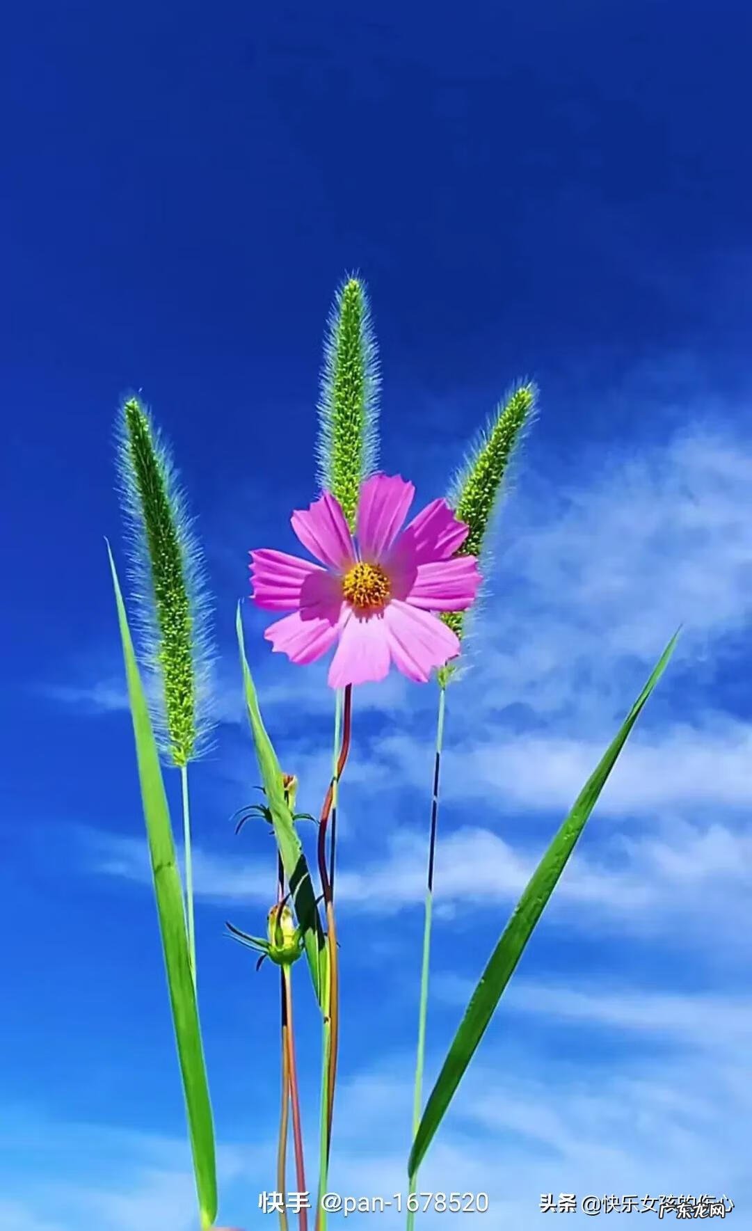 心态就是你的风水 你最好的状态就是你最好的风水