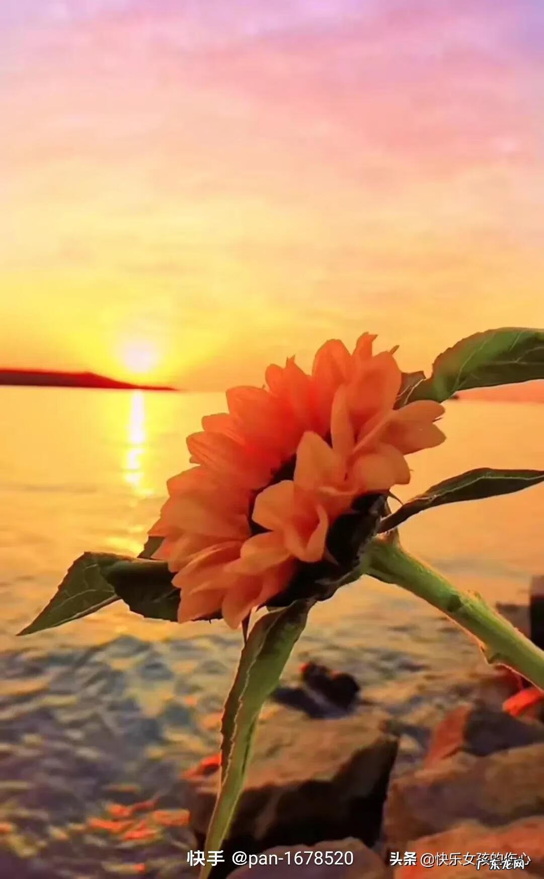 心态就是你的风水 你最好的状态就是你最好的风水