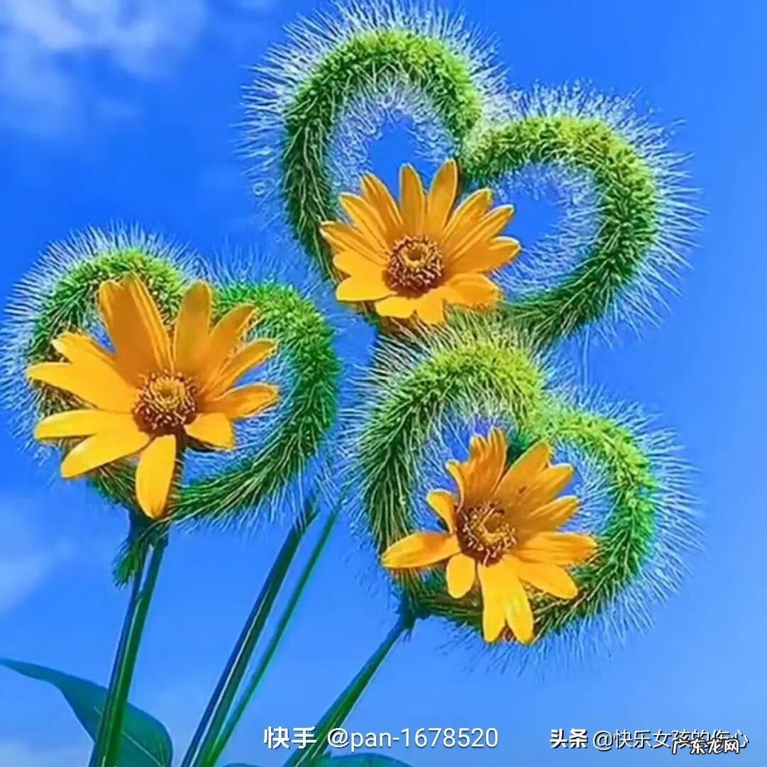 心态就是你的风水 你最好的状态就是你最好的风水