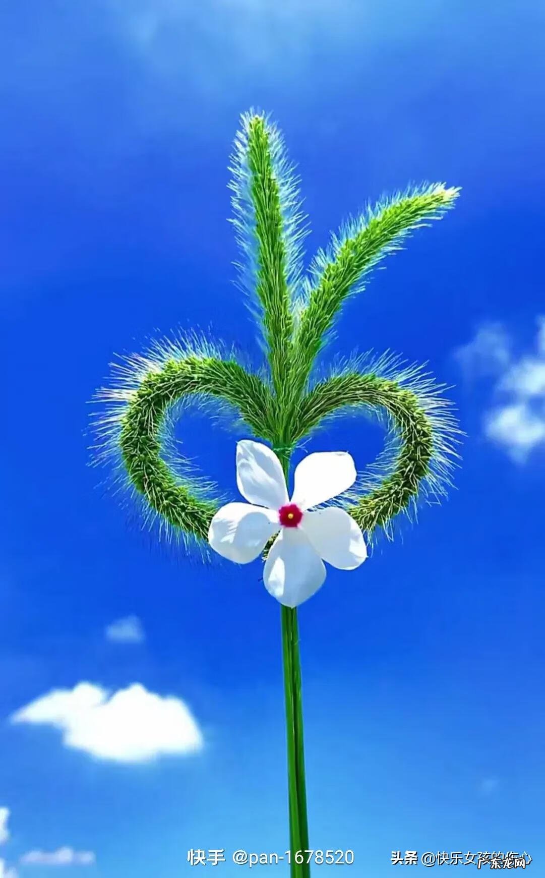 心态就是你的风水 你最好的状态就是你最好的风水