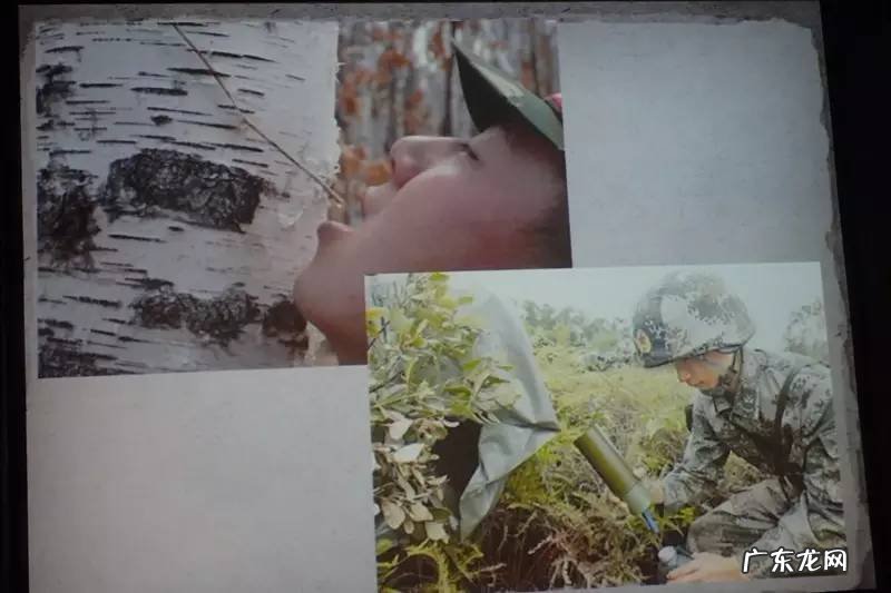 荒野生存 荒野求生21天