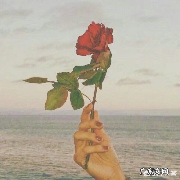 有什么唯美的句子可以形容“我想你了”?