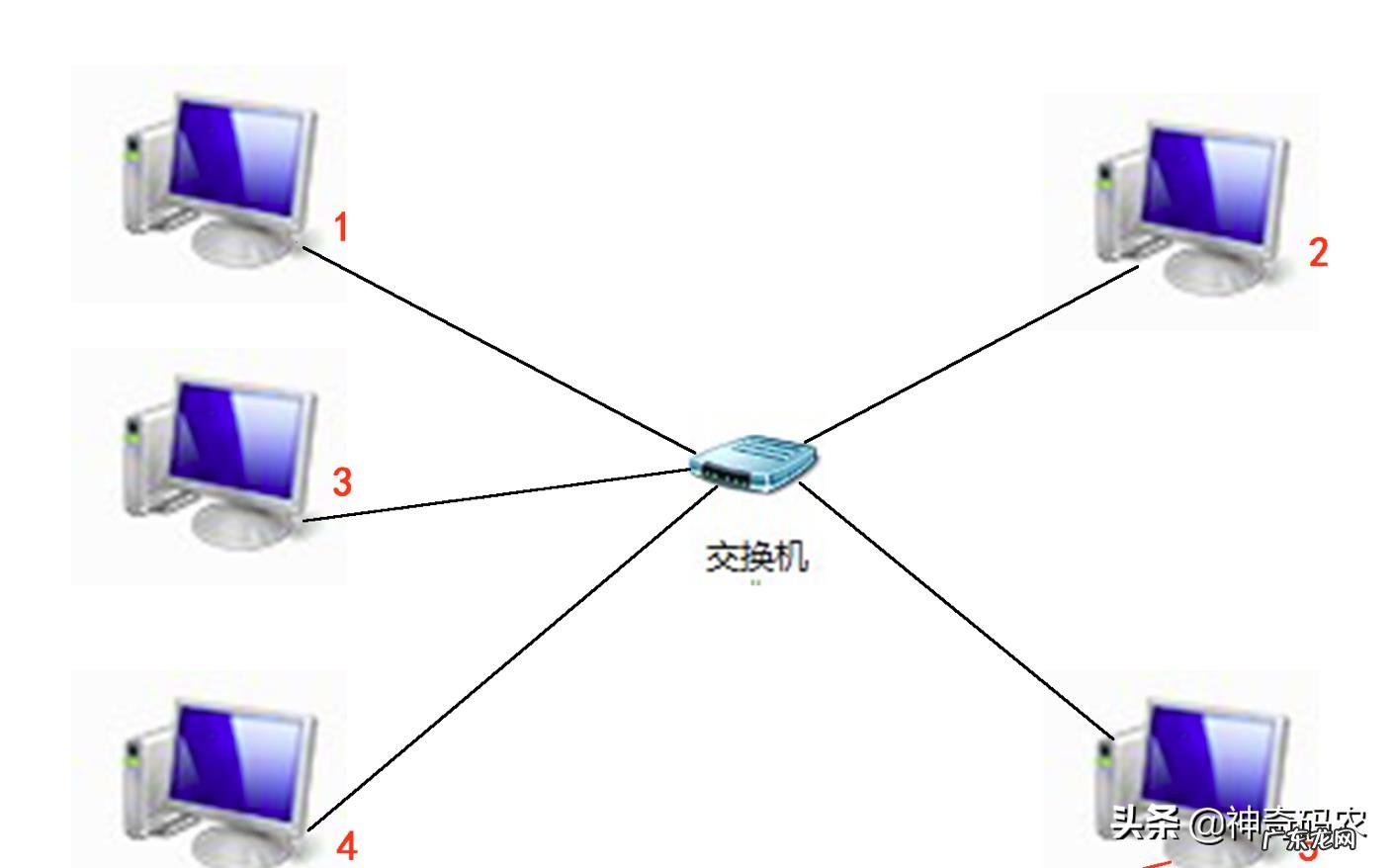 我们用的网是怎么来的?