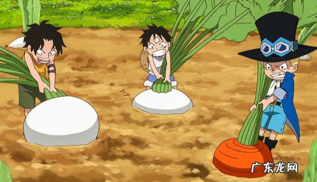 最强穿越者 路飞 强者世界