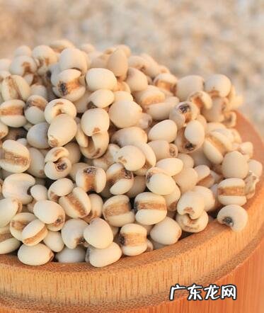 薏米的副作用有哪些