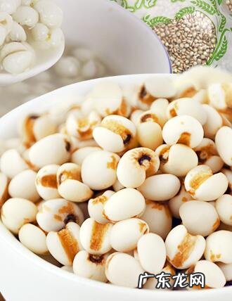 薏米的副作用有哪些