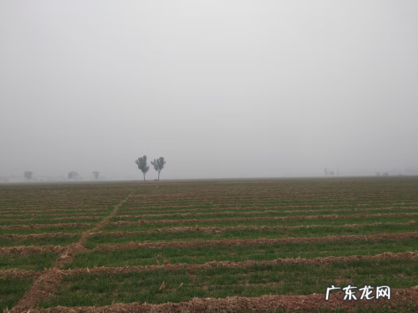 三合风水讲堂 民间三合风水