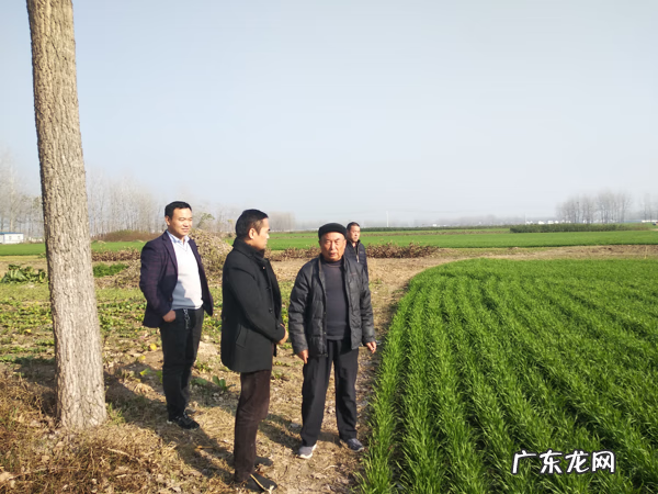 三合风水讲堂 民间三合风水