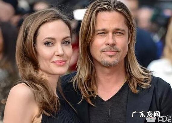 首席狼宠 狼宠知乎