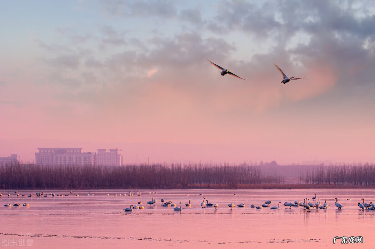 结扎手术全过程 结扎手术怎么操作