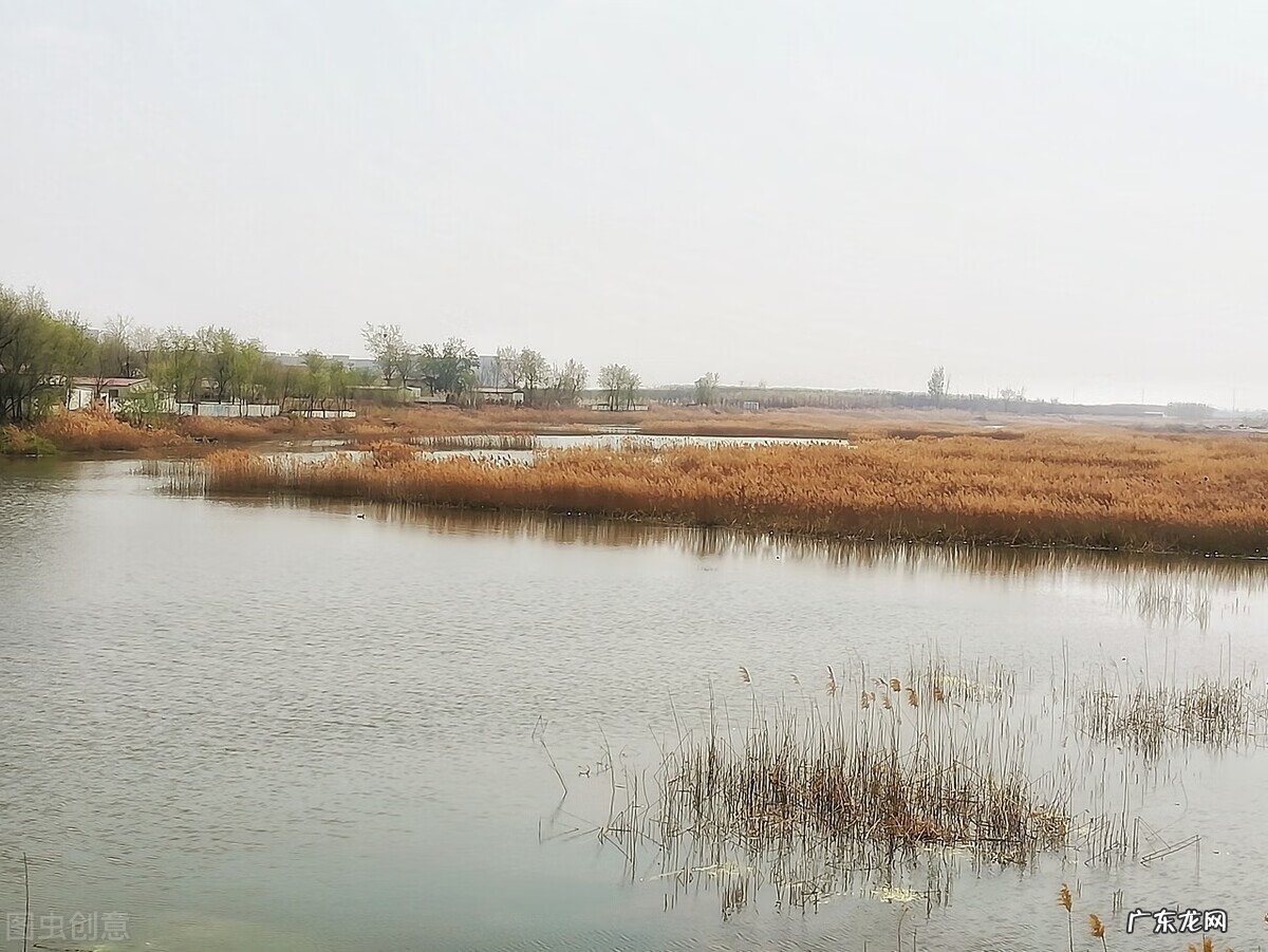 结扎手术全过程 结扎手术怎么操作