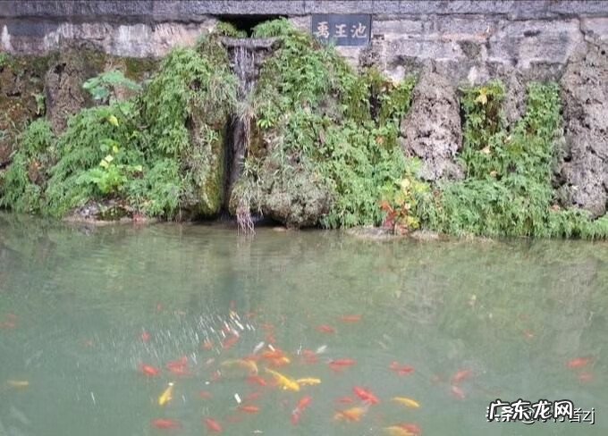 宾阳名人 宾阳民间风水大地