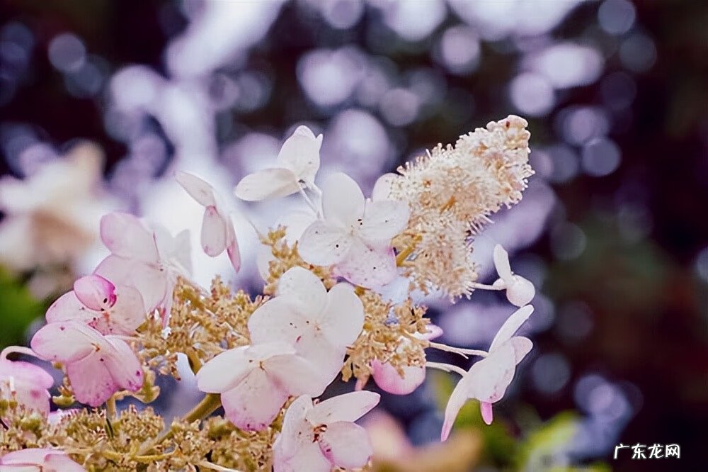 风水平面布局图