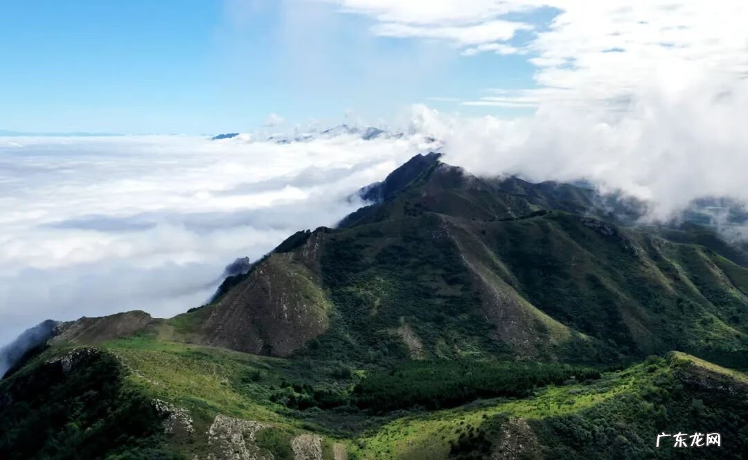 一绳牵九牛风水宝地 一索牵九牛风水地