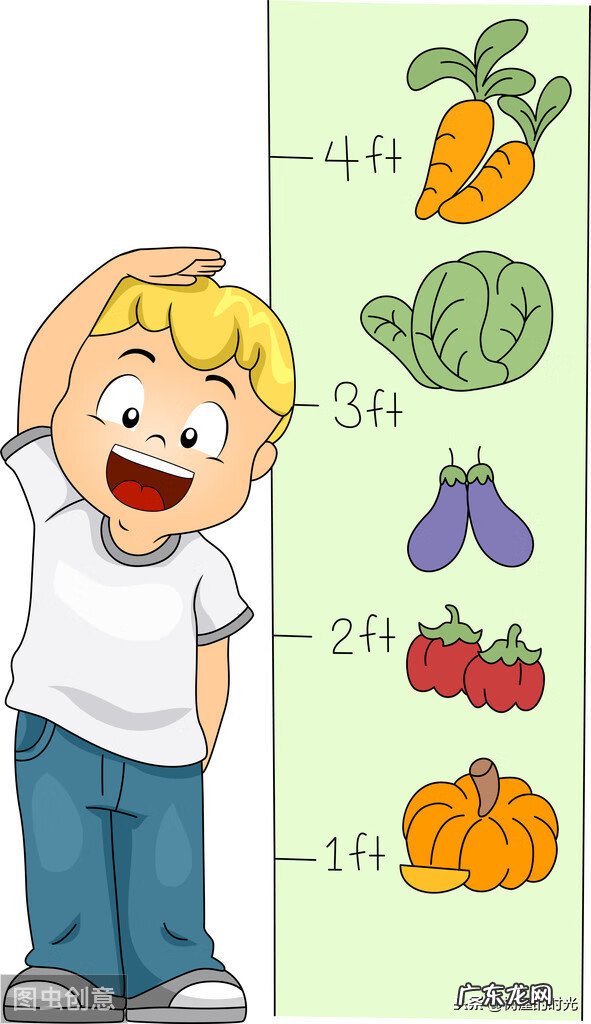 3岁儿童营养餐食谱大全 儿童的营养食谱