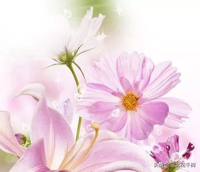 当两个人在一起时,你觉得做什么事才是最幸福的呢?