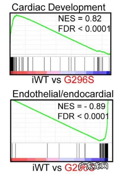 gct考试很容易 gct考试是什么考试