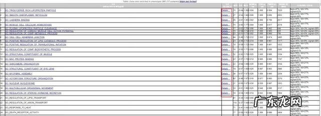 gct考试很容易 gct考试是什么考试