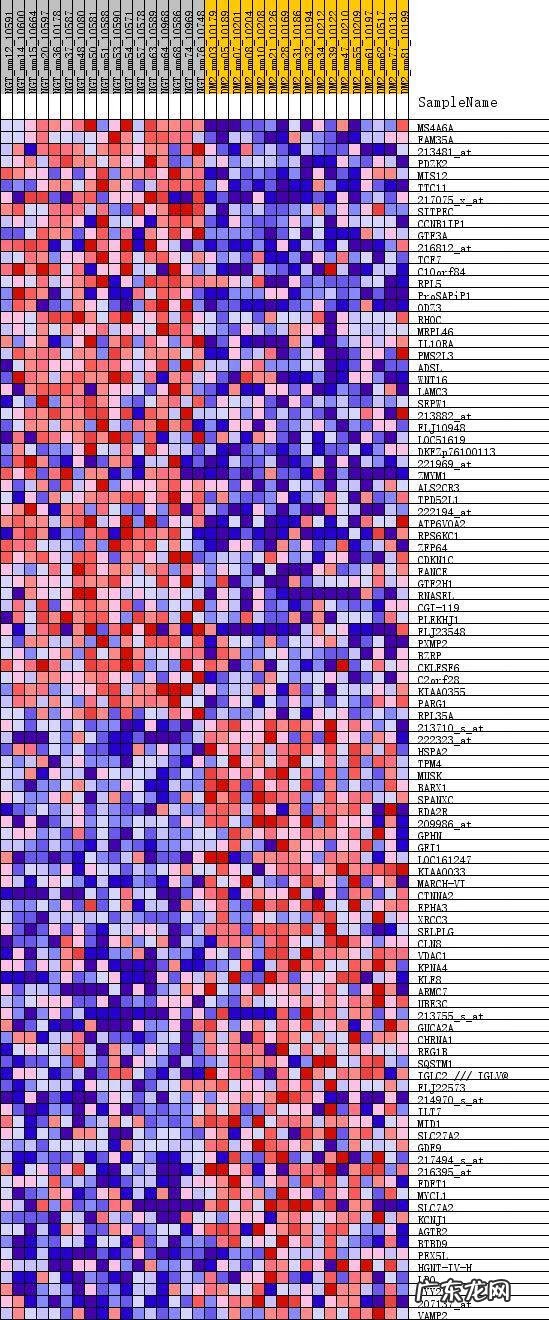 gct考试很容易 gct考试是什么考试