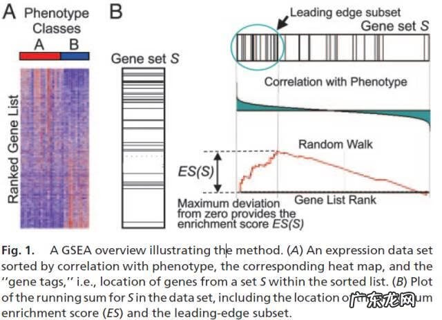 gct考试很容易 gct考试是什么考试