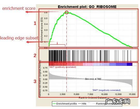gct考试很容易 gct考试是什么考试