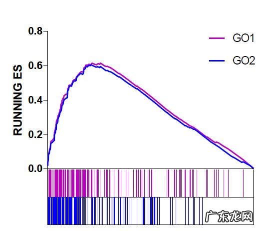gct考试很容易 gct考试是什么考试