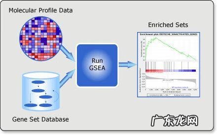 gct考试很容易 gct考试是什么考试