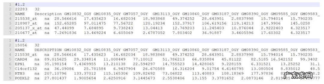 gct考试很容易 gct考试是什么考试