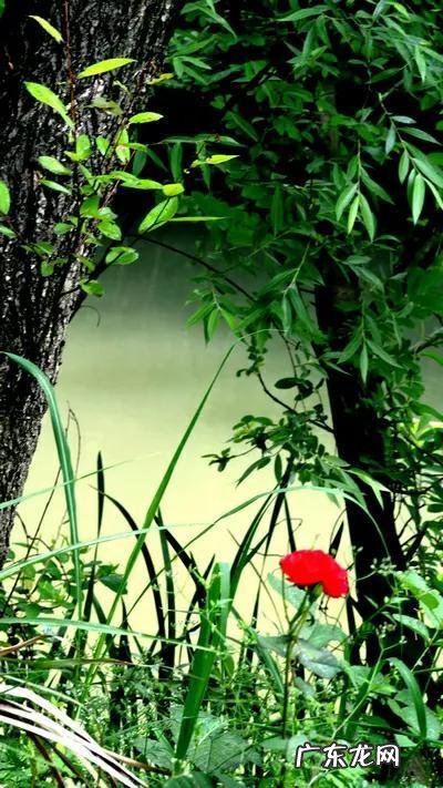 生活百科广播稿100字怎么写呀