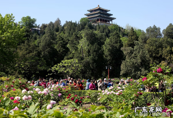风水朝山代表什么 风水学中的朝山是什么意思