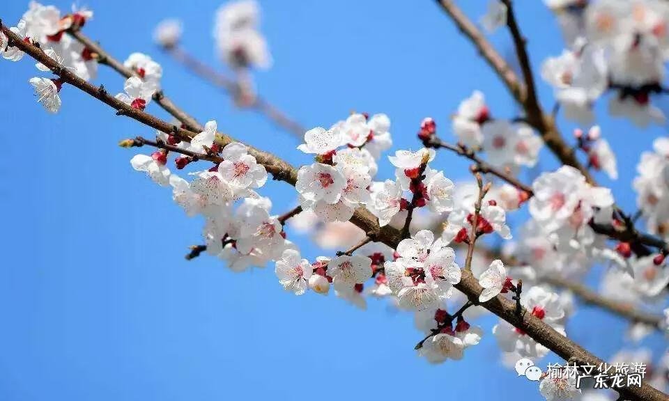 阴宅风水口诀 塞上风水图解