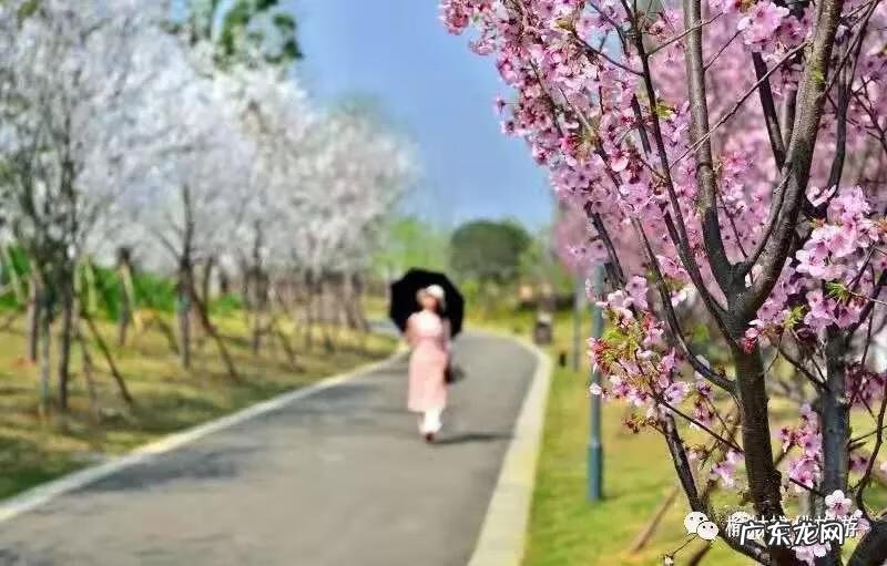 阴宅风水口诀 塞上风水图解