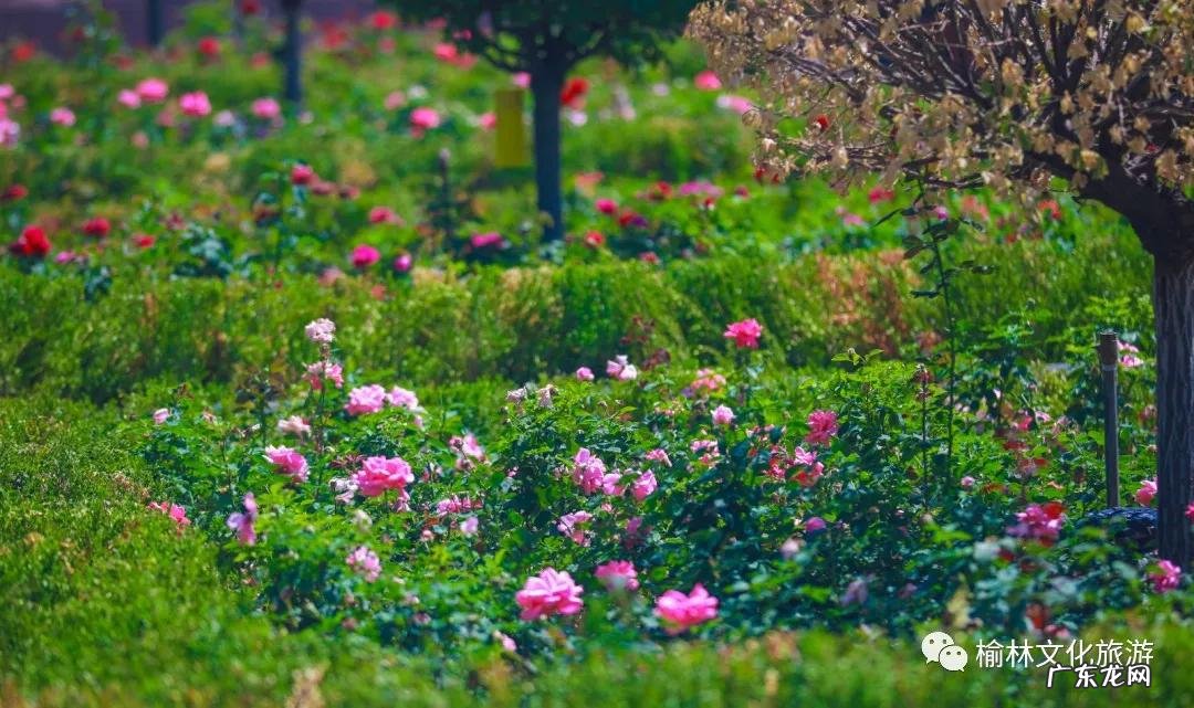 阴宅风水口诀 塞上风水图解