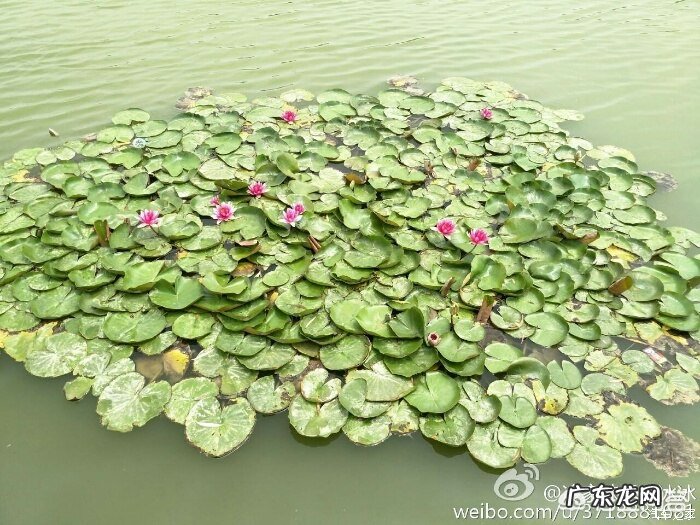 怎样增强自己回答问题的能力?