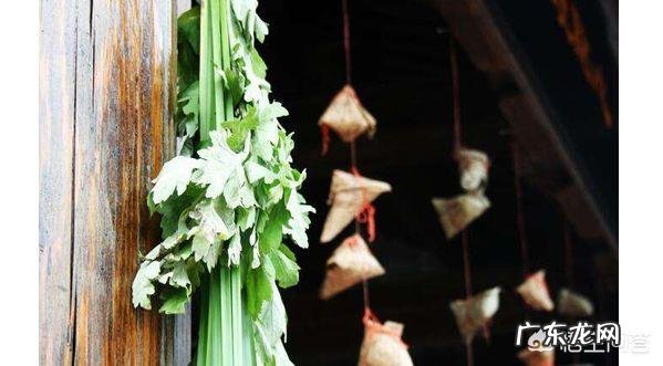 新鲜艾草的放屋里能驱蚊吗?