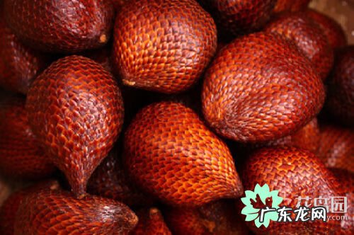 蛇皮果可以直接吃吗 蛇皮果怎么吃?