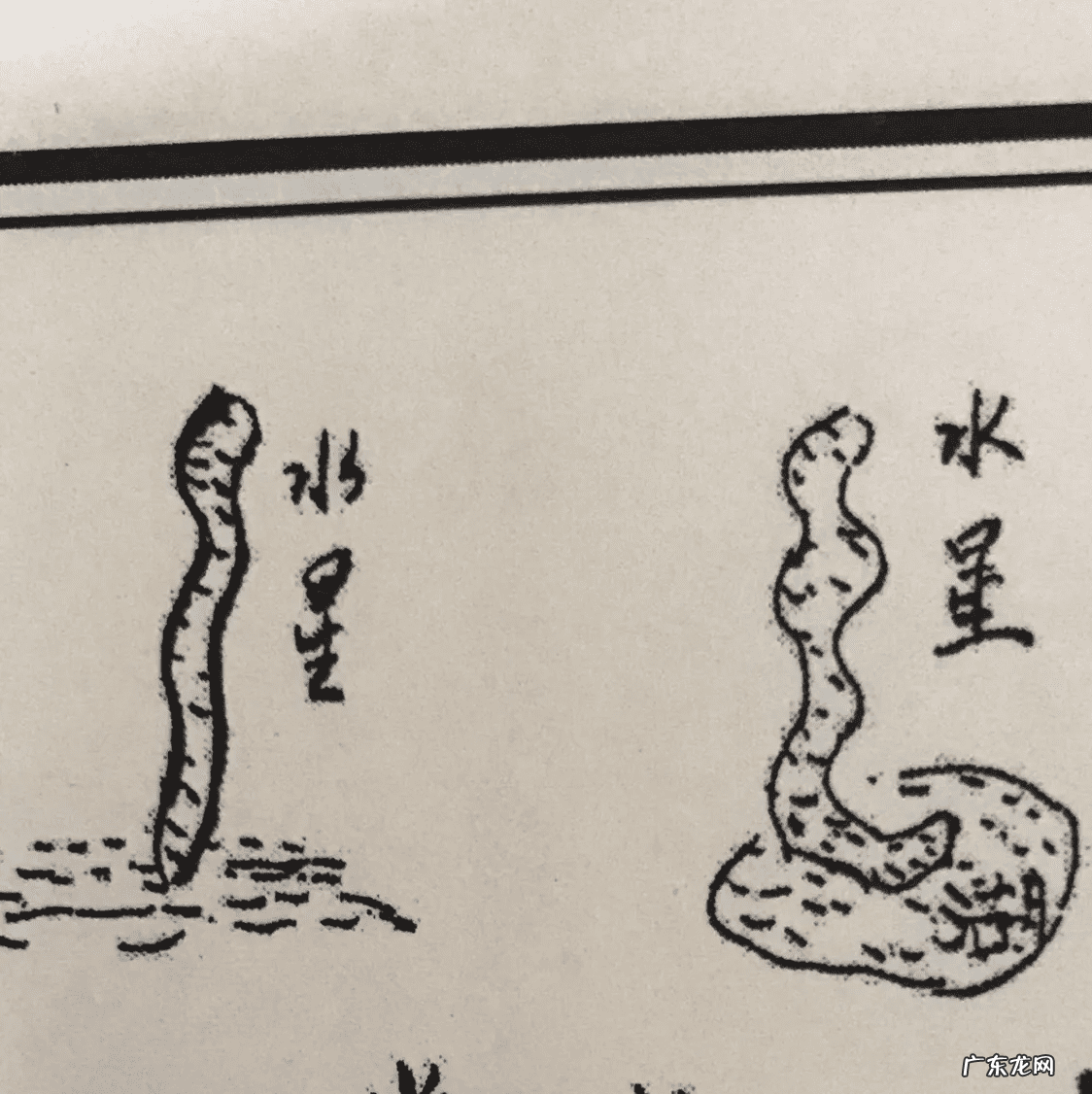 形峦风水秘中秘 秘传风水形峦断