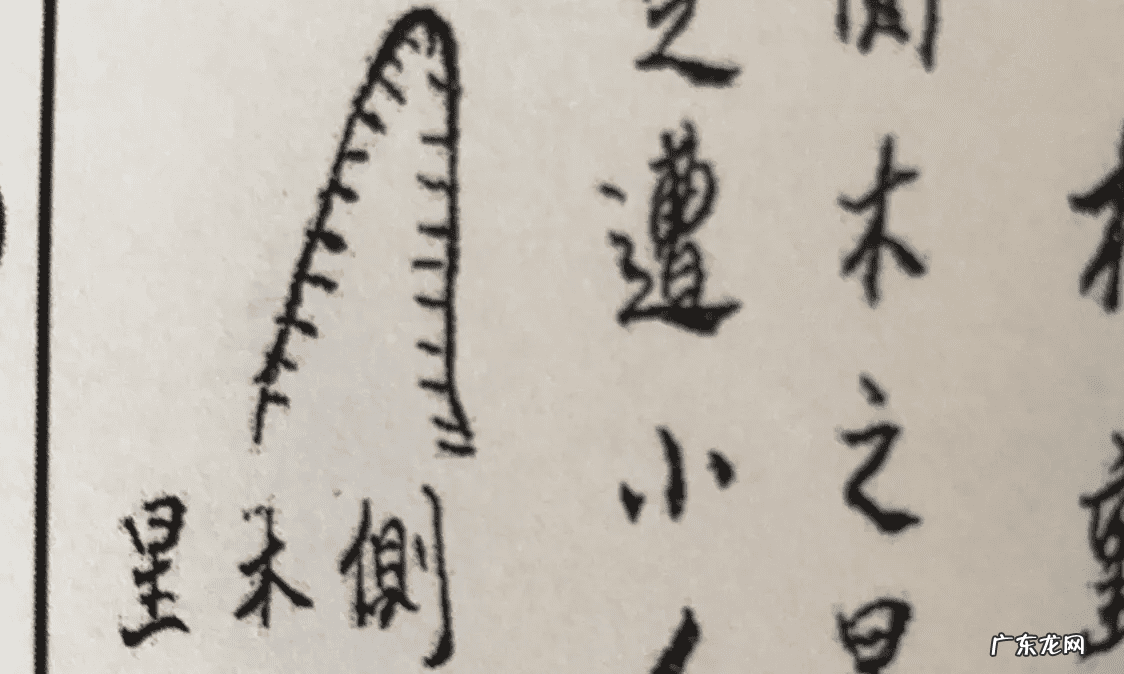 形峦风水秘中秘 秘传风水形峦断