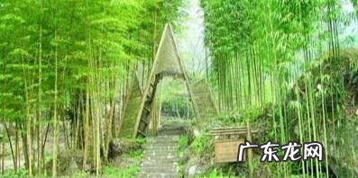 我去上学校改编 我去上学校