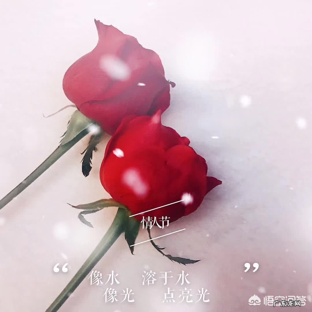 情人节时，你听过的最浪漫的情话是什么？