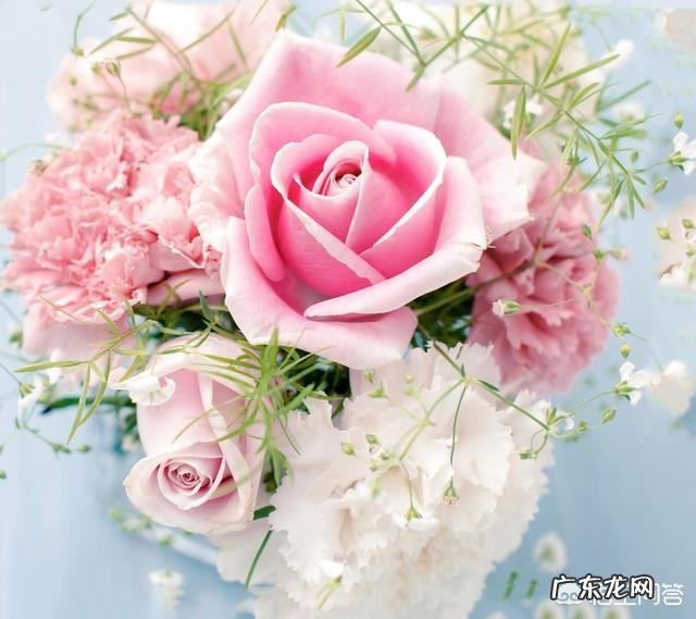 情人节时，你听过的最浪漫的情话是什么？